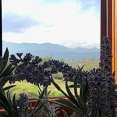 Oasi Macerina Villa Alanno Exterior photo