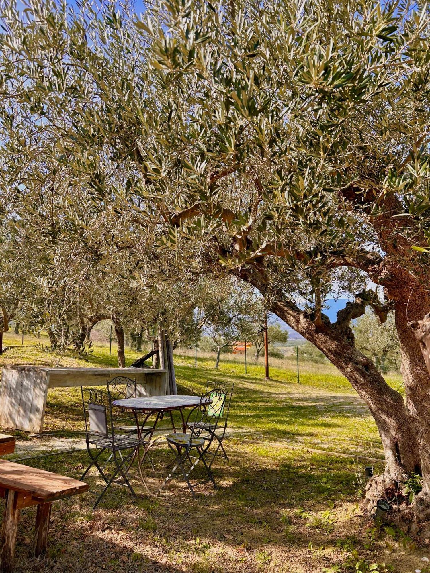 Oasi Macerina Holiday home *