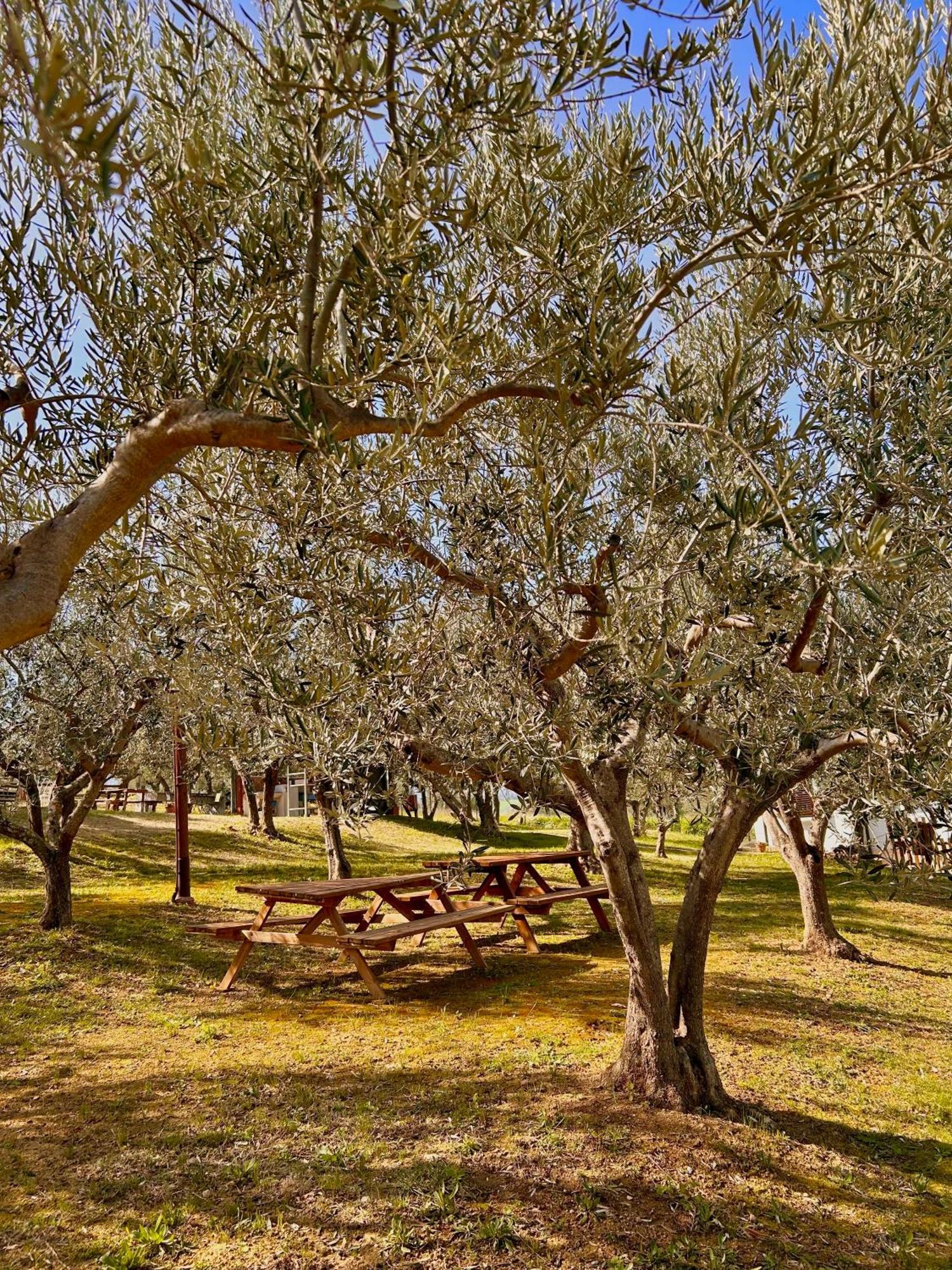 Holiday home Oasi Macerina *