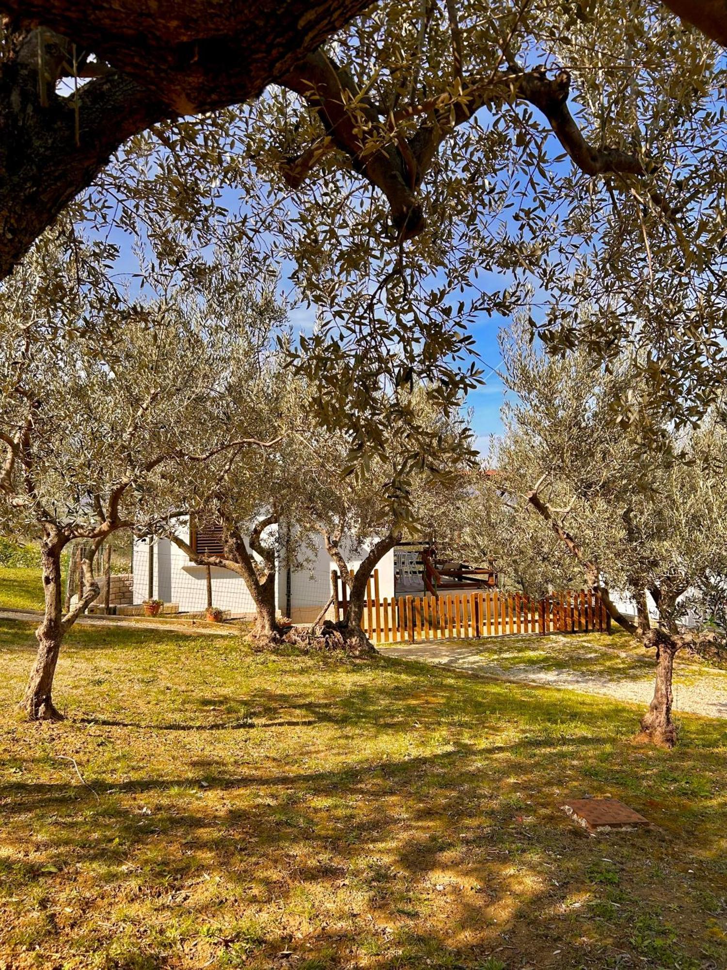 Holiday home Oasi Macerina Alanno