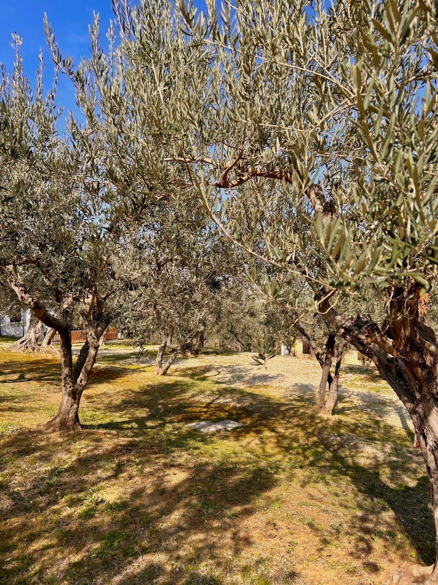 Holiday home Oasi Macerina *