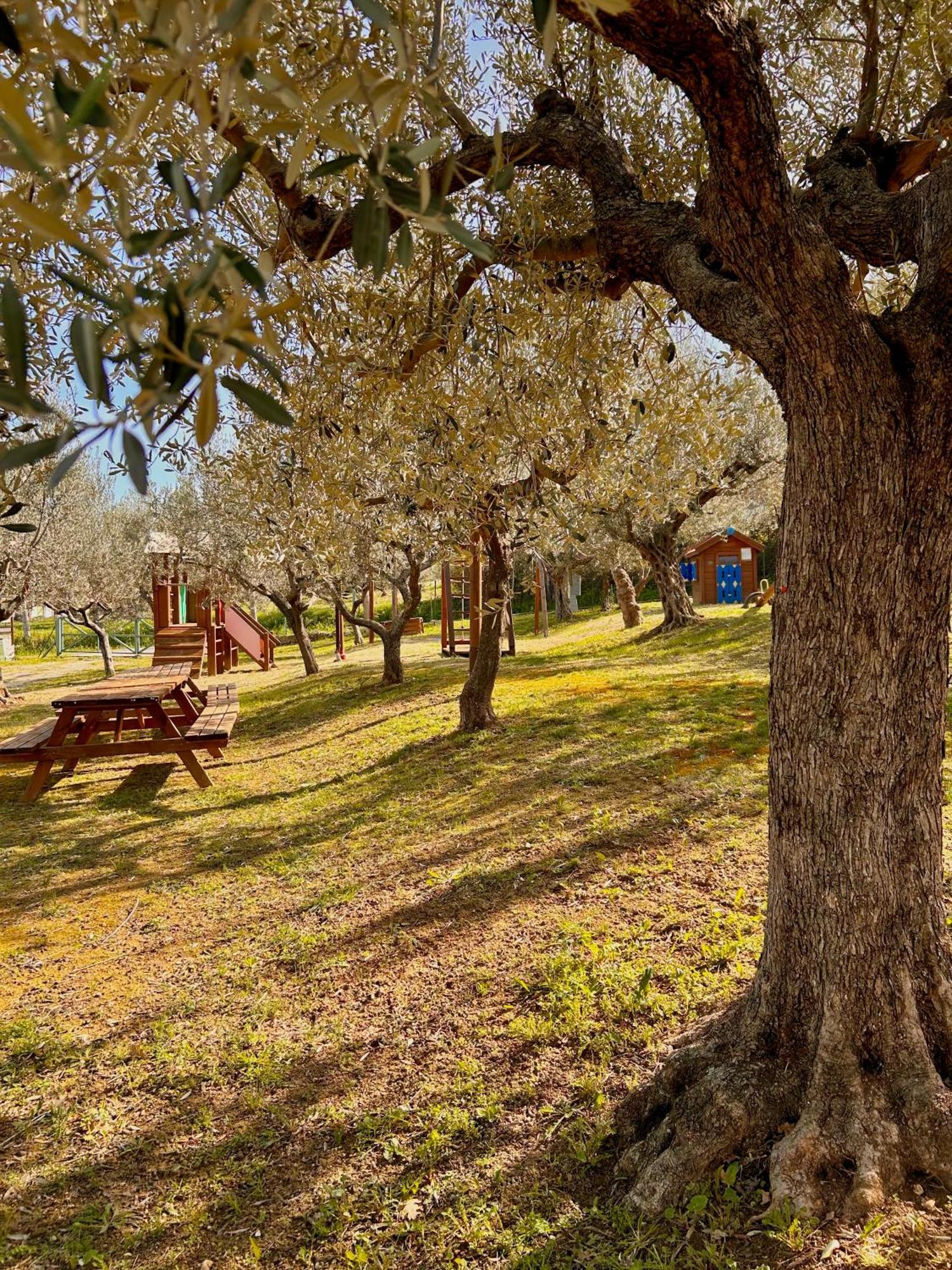 Holiday home Oasi Macerina Alanno