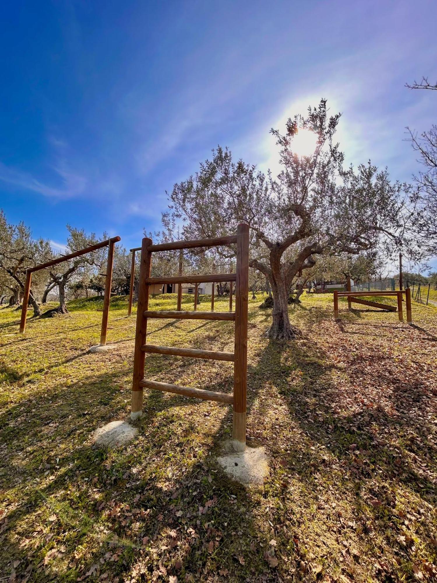 Oasi Macerina Holiday home