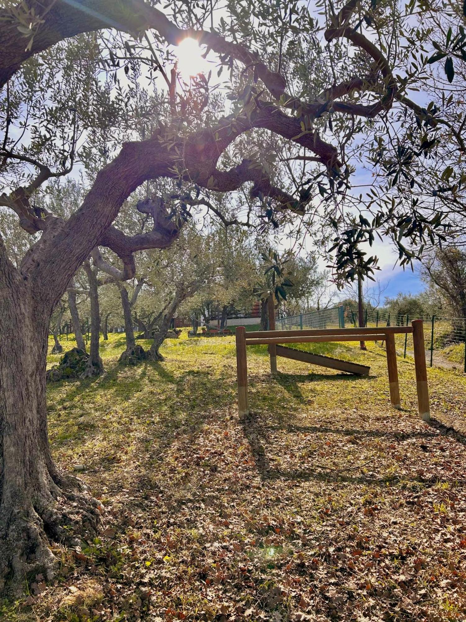 Holiday home Oasi Macerina