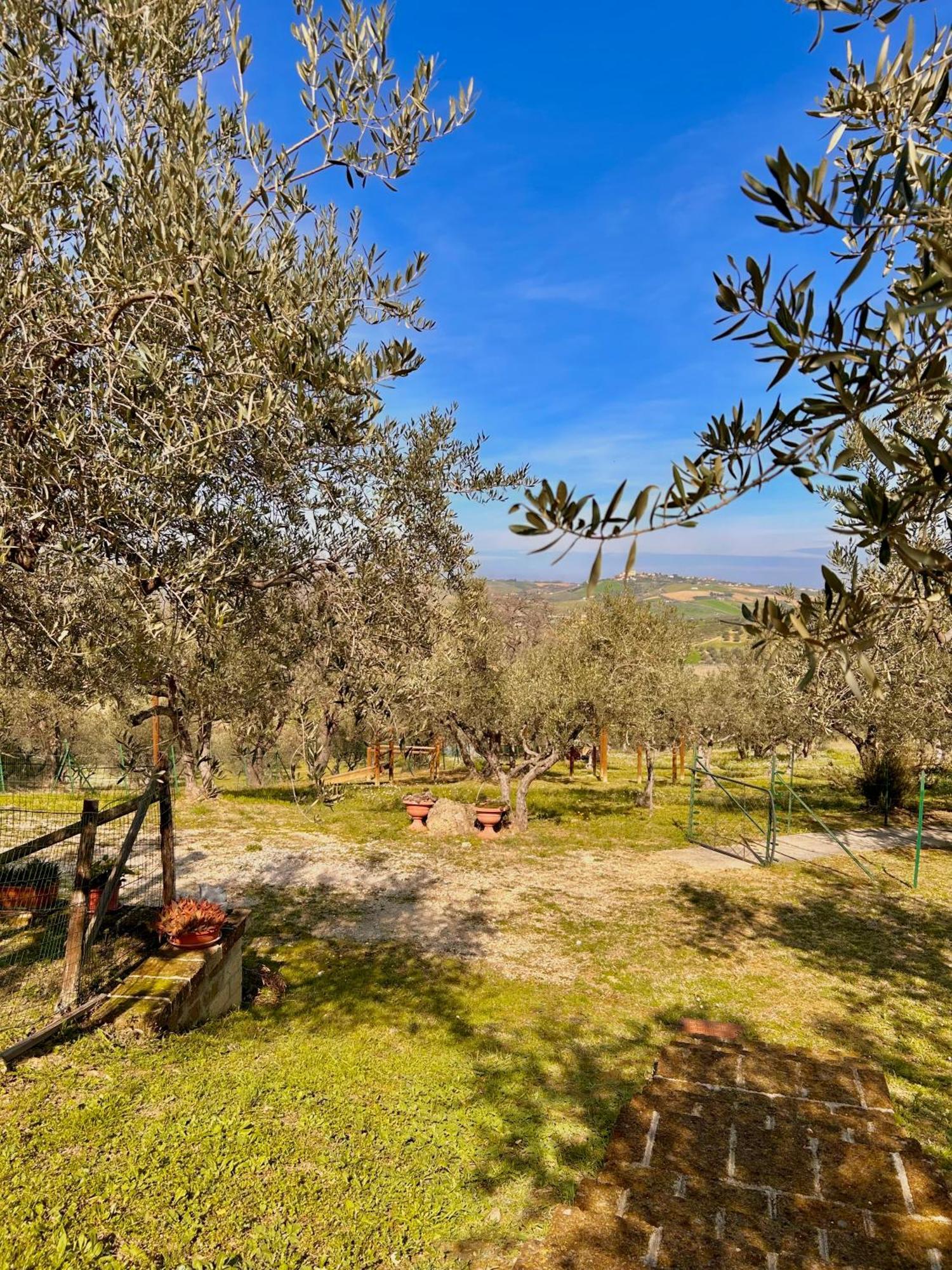 Oasi Macerina Holiday home Alanno