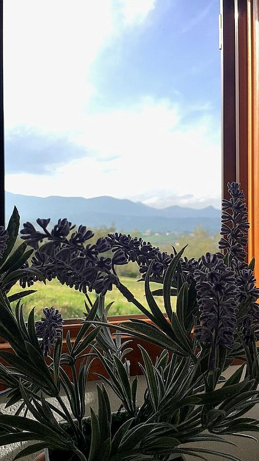 Holiday home Oasi Macerina *